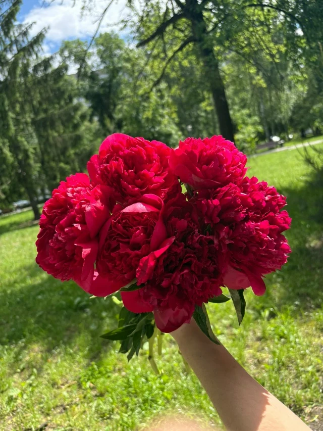Пион Команд Перфоманс, букет